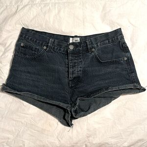 Amuse Society Size 26 Black Shorts